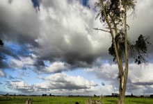 马布里发声明称前私人助理账号内容失实：将通过法律途径维护合法权益马布里个人微博.