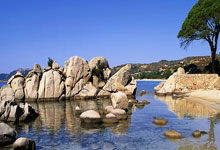 国乒回应了！严肃对待、及时总结！央视财经.